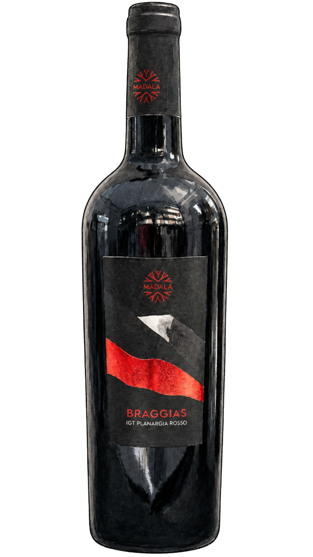 Braggias